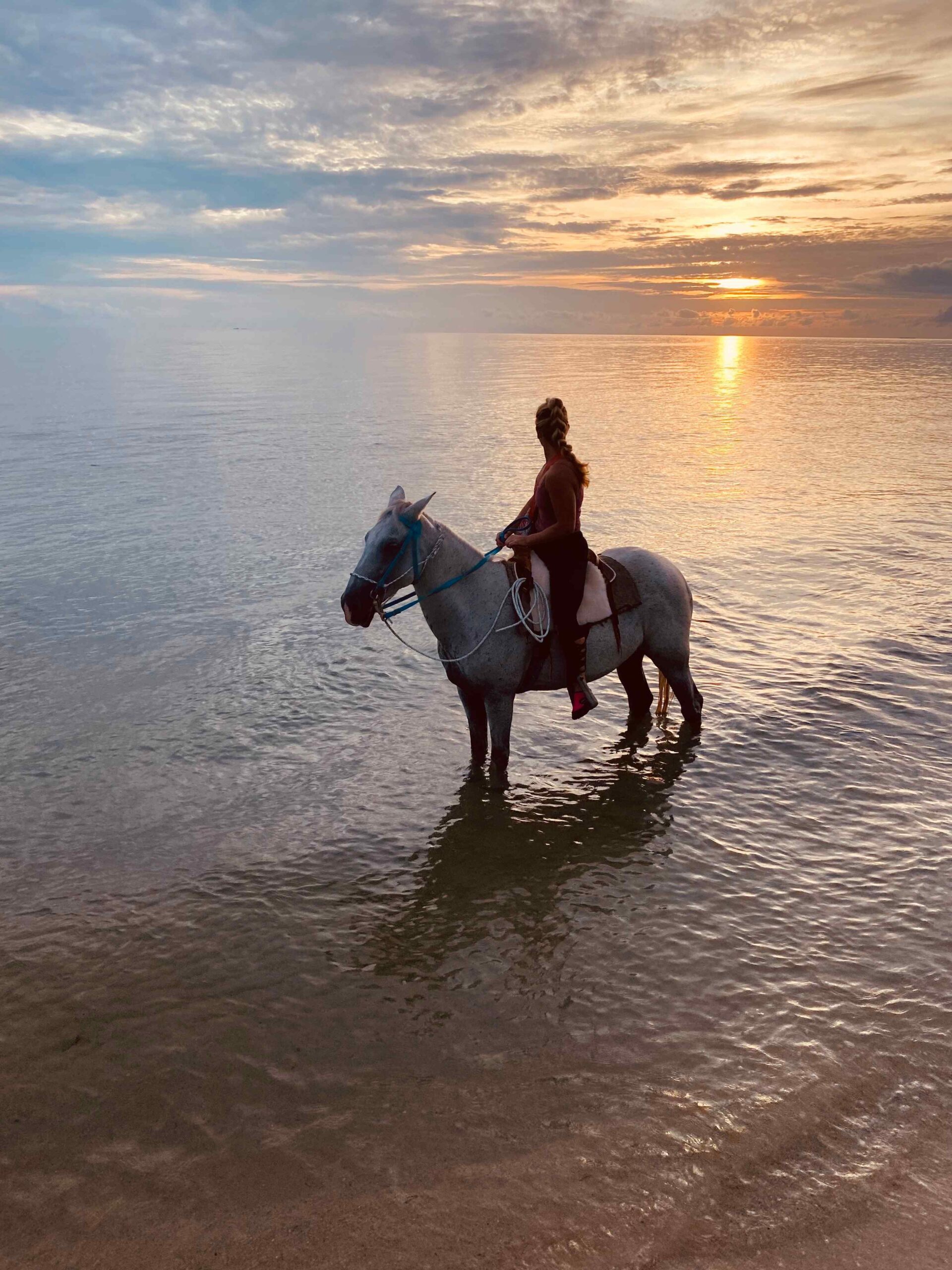 A person sitting on a horse in shallow water at a beach during sunrise in Placencia.